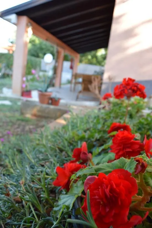 Apartment Ines Bale Croazia